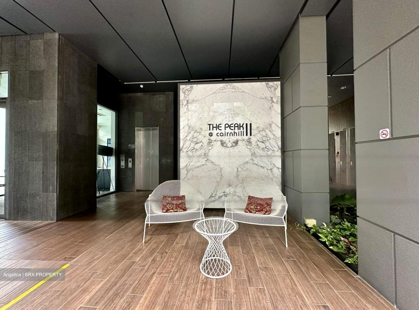 The Peak @ Cairnhill II (D9), Apartment #479880381